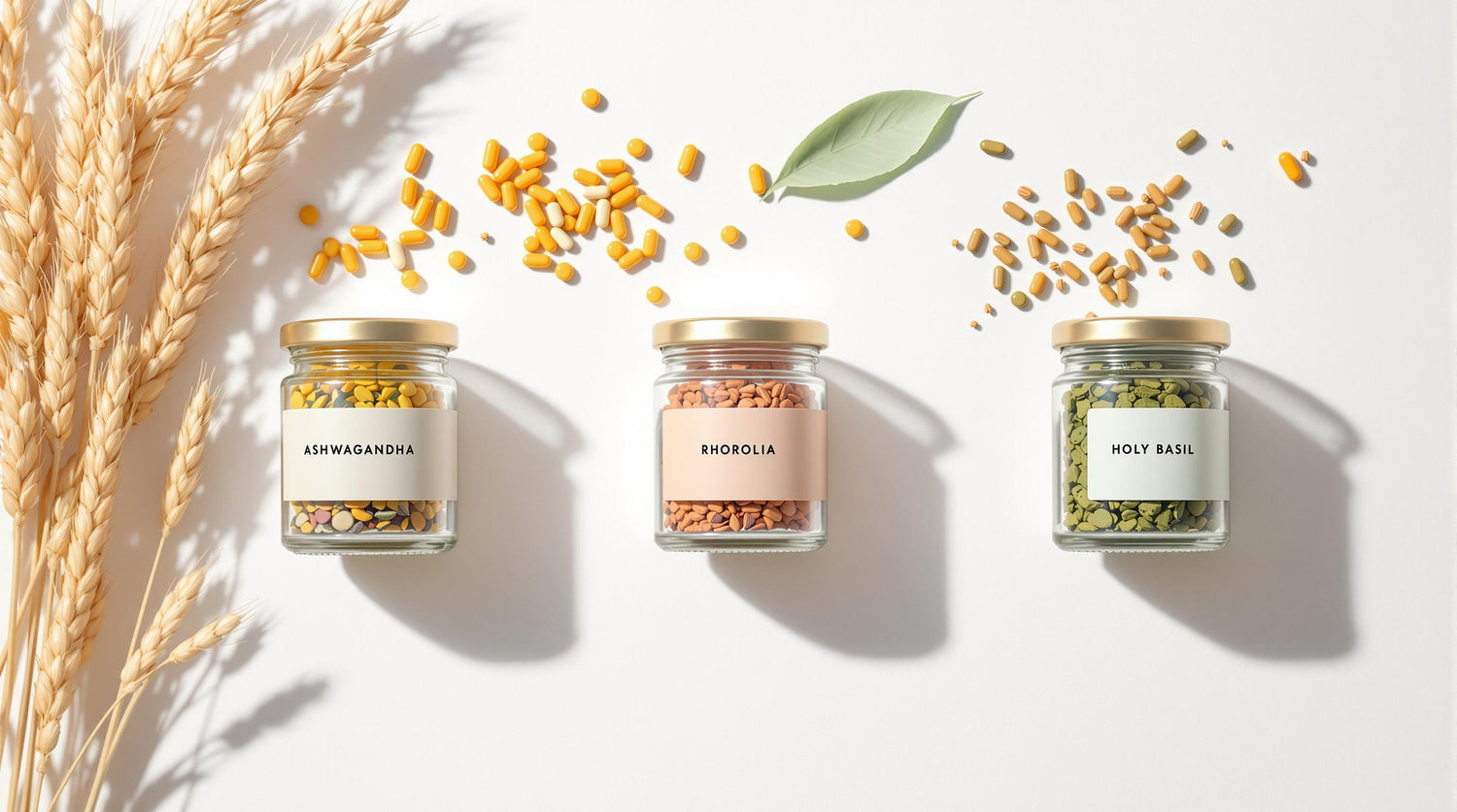 Relaxation Science: Adaptogens and Nootropics