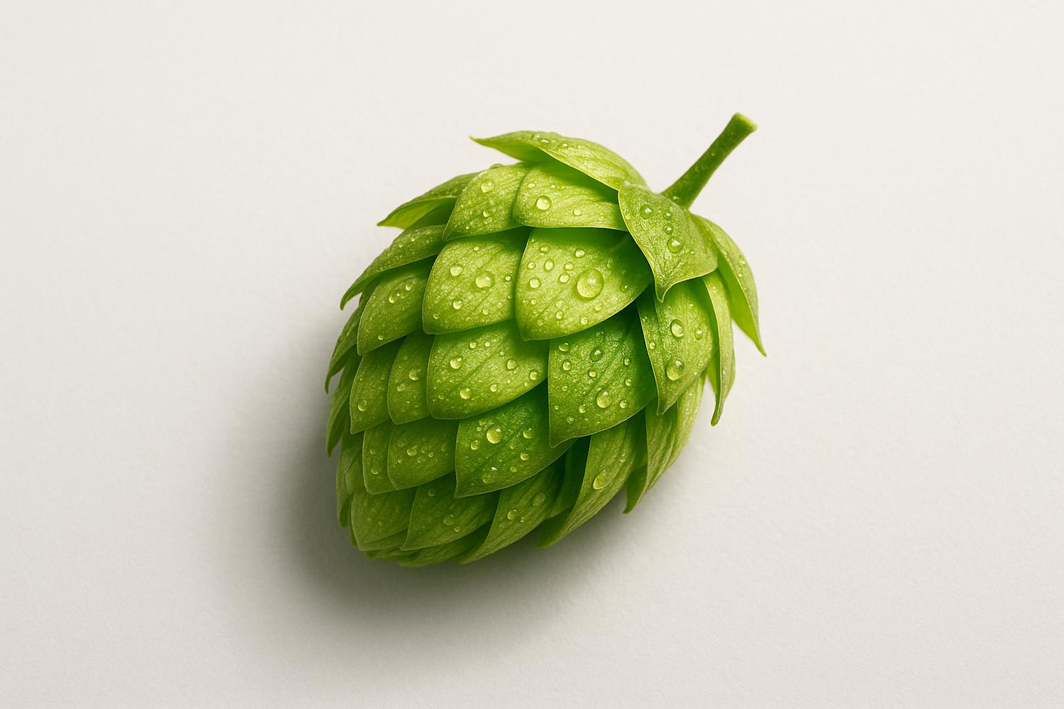 Hop Antioxidants: Nutritional Synergy Explained