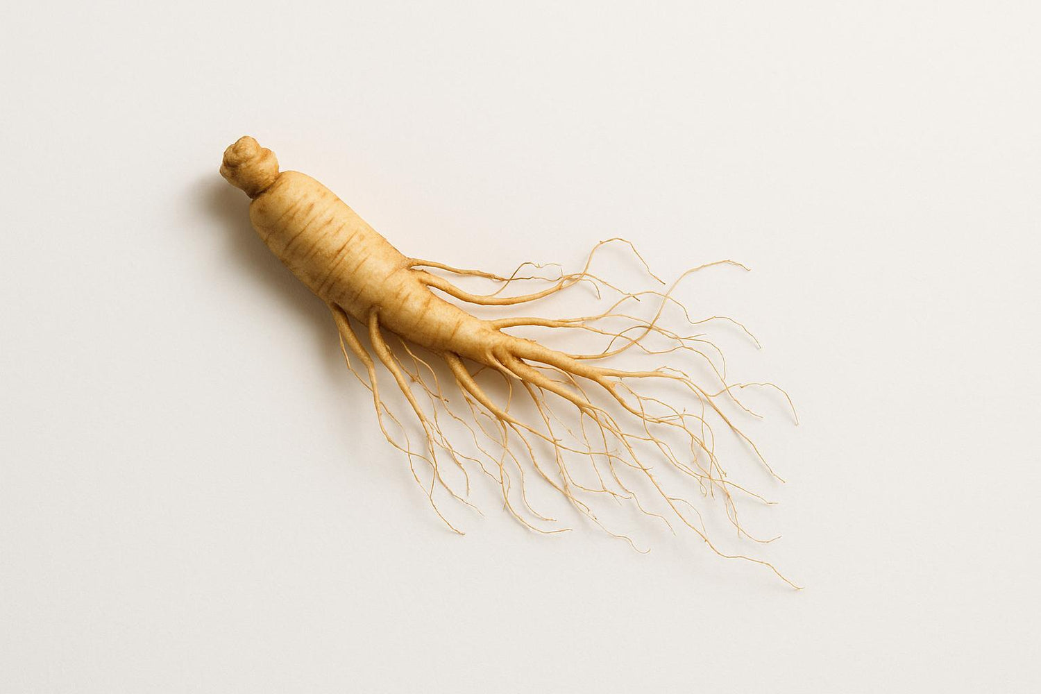 How Adaptogens Affect Brain Chemistry