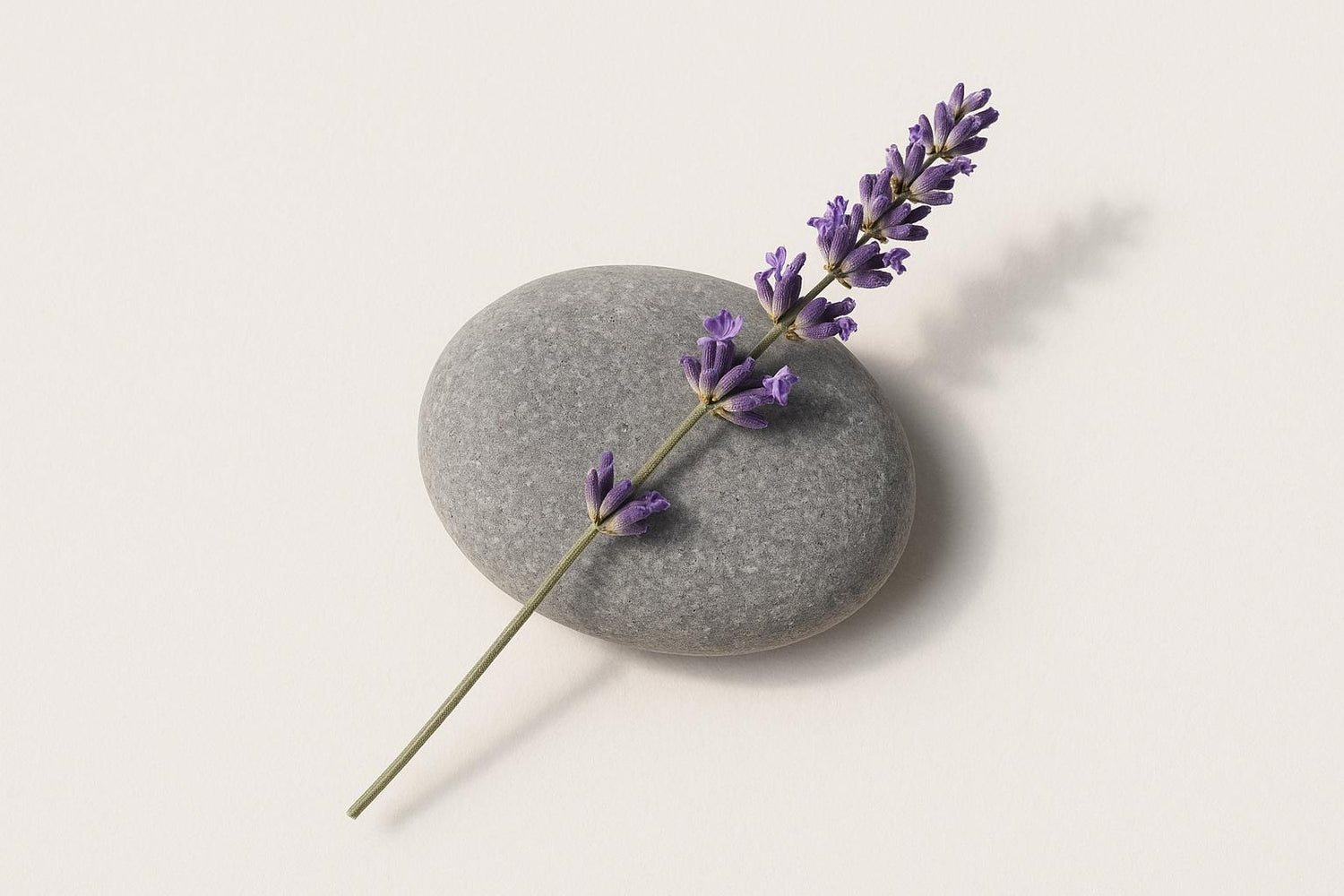 How to Manage Stress: Practical Relaxation Techniques