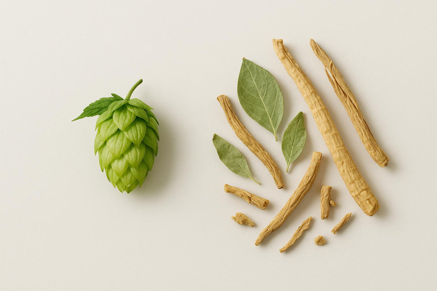 Stress Relief Ingredients: Hops vs Adaptogens