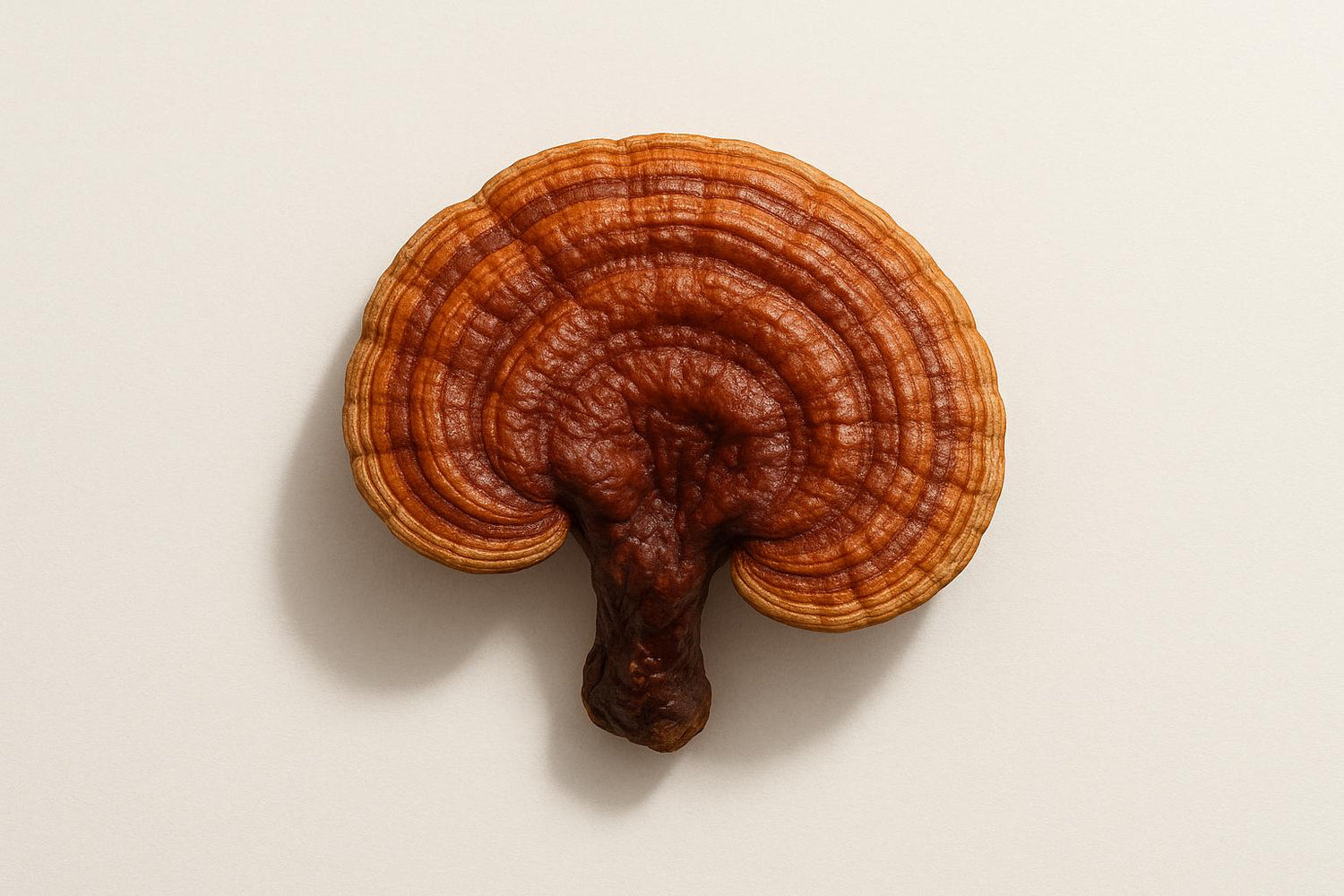 How Adaptogens Affect the Brain: A Neuroscience Guide