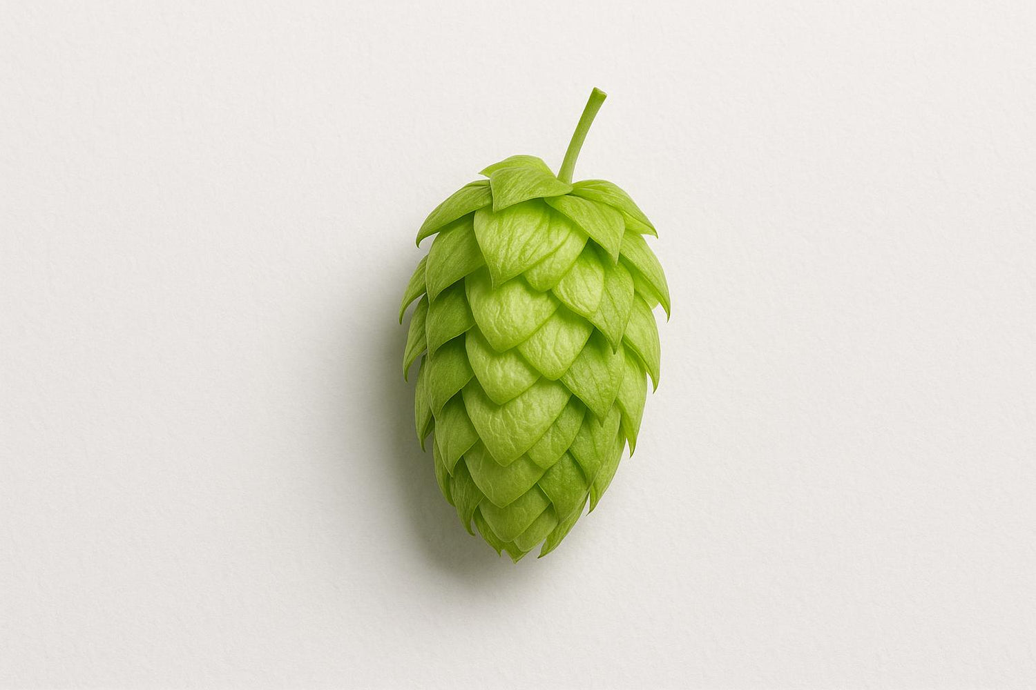 Memory and Learning Benefits of Hop Compounds in Beer