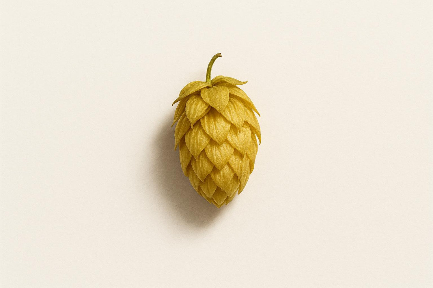 Sensory Science in Non-Alcoholic Beer Development