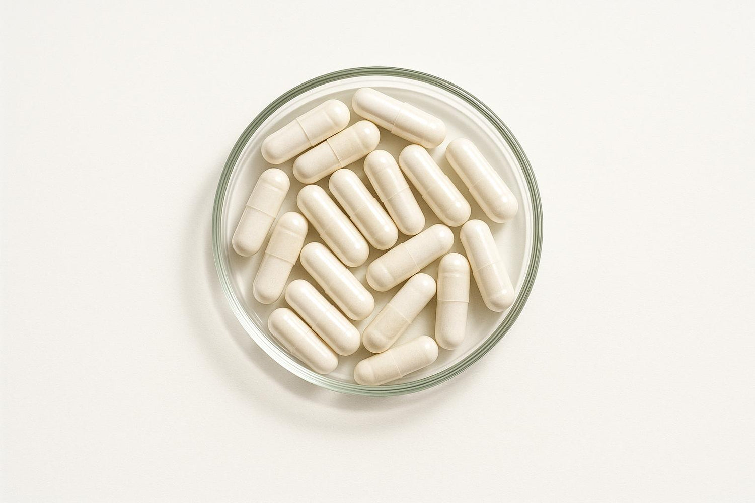 Ultimate Guide to EFSA Novel Food Regulations