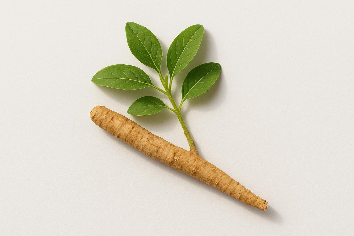 Stress Hormones and Adaptogens: Small-N Trials