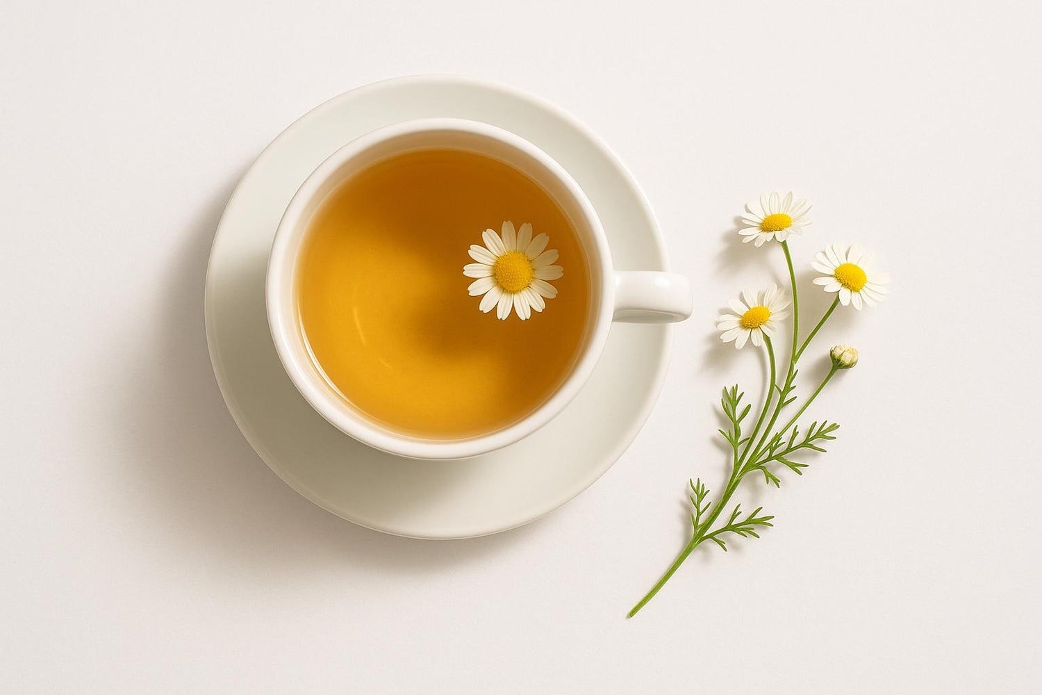 5 Ways to Relax Your Mind and Quiet Your Nervous System